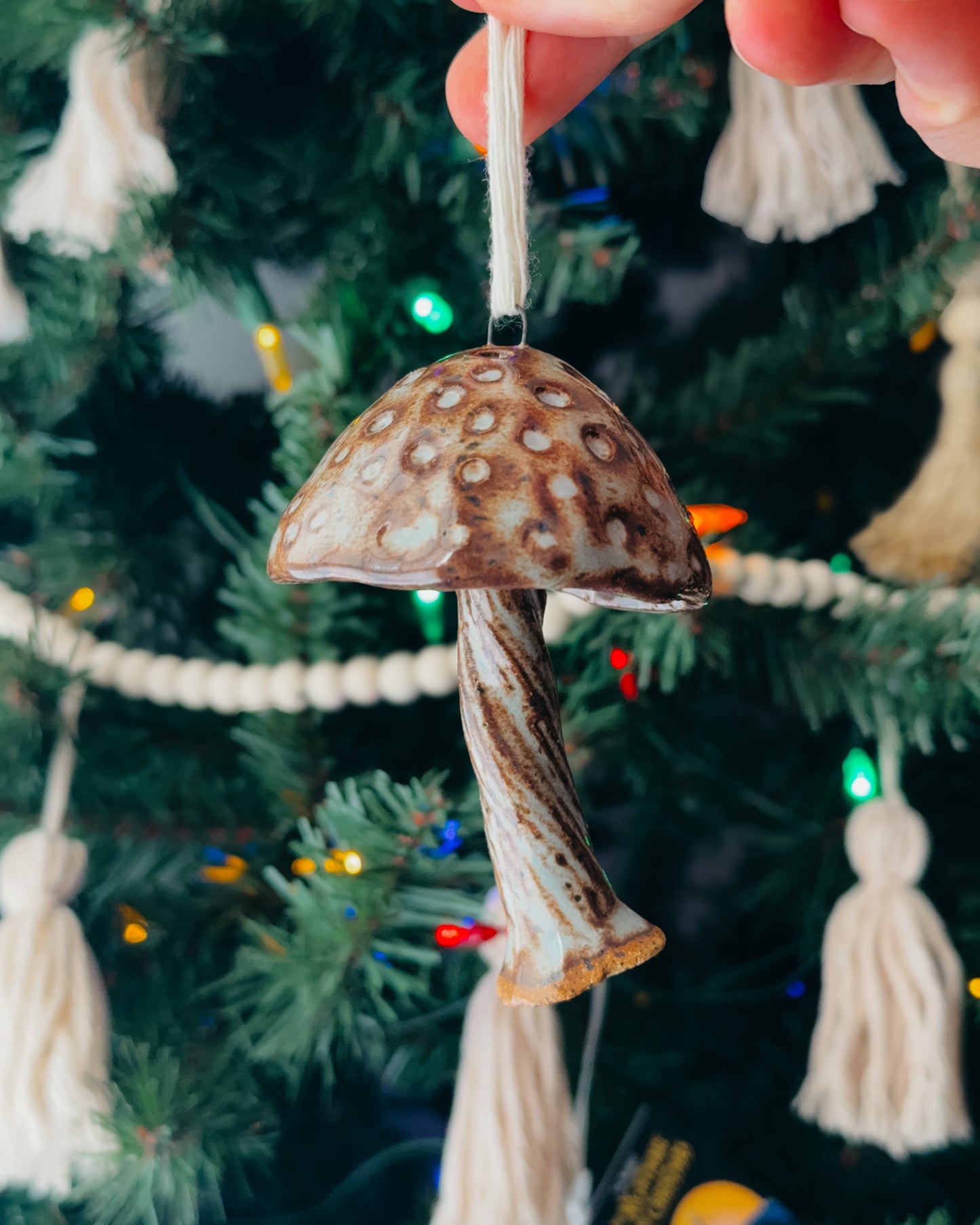 Spotted Blue/Brown Mushroom Ornaments, Large